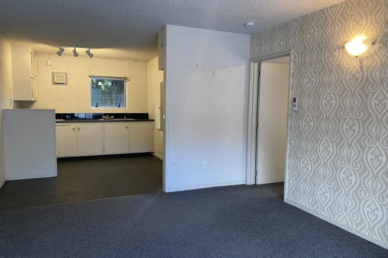 Photo of property in 170 Ulster Street, Whitiora, Hamilton, 3200