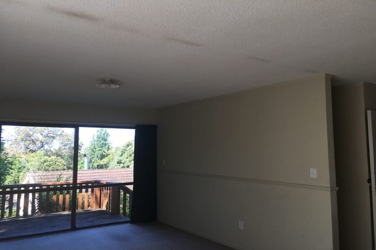 Photo of property in 305a Otumoetai Road, Otumoetai, Tauranga, 3110