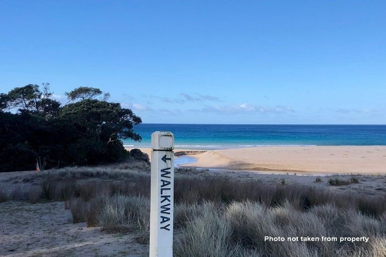 Photo of property in 203 Onemana Drive, Onemana, Whangamata, 3691