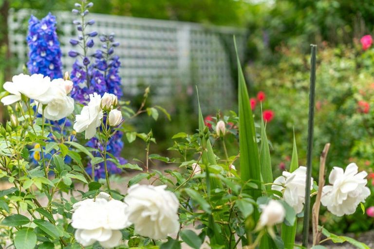 Photo of property in 463 High Street South, Carterton, 5713