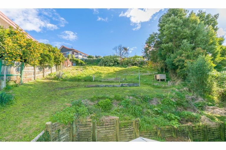 Photo of property in 20 Johnson Street, Dinsdale, Hamilton, 3204