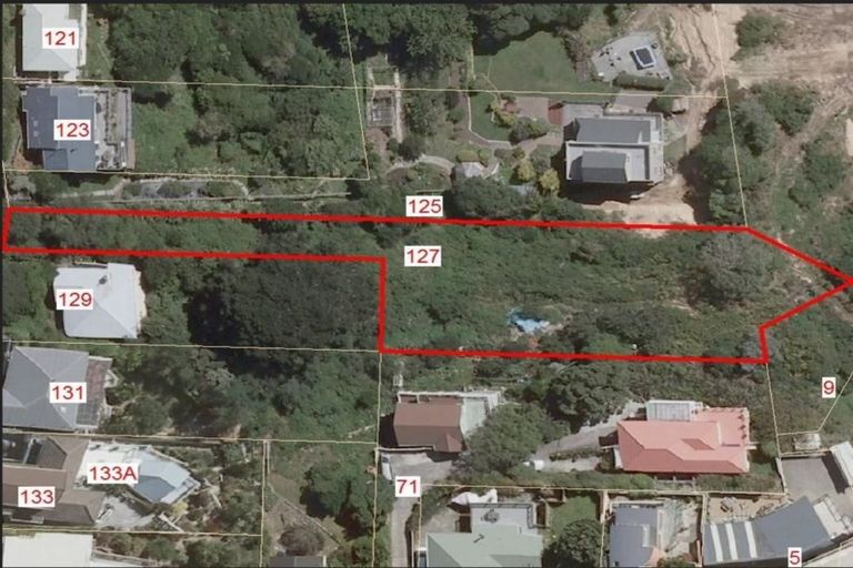 Photo of property in 127 Hornsey Road, Melrose, Wellington, 6023