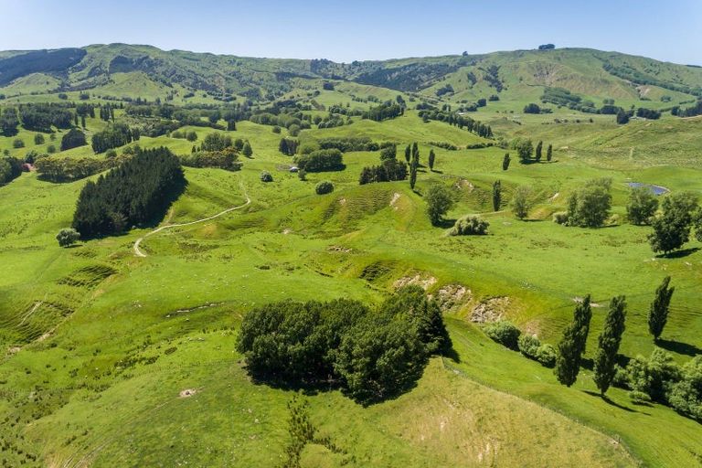Photo of property in 2412 Kahuranaki Road, Elsthorpe, Havelock North, 4295