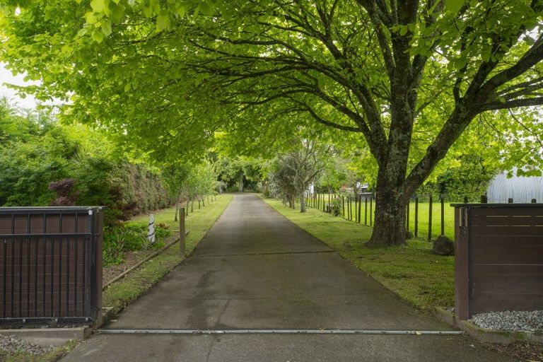 Photo of property in 86 Castles Road, Oropi, Tauranga, 3173