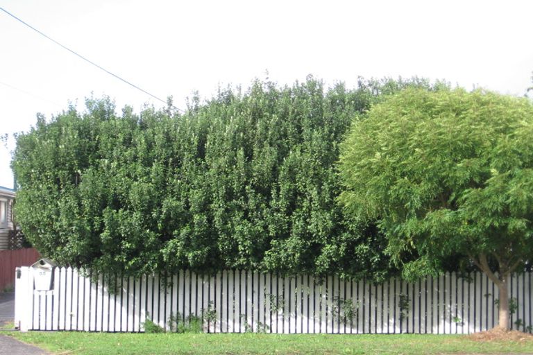 Photo of property in 65 Rathgar Road, Henderson, Auckland, 0610