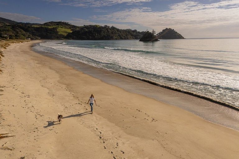 Photo of property in 122 Mangakahia Drive, Whangapoua, Coromandel, 3582