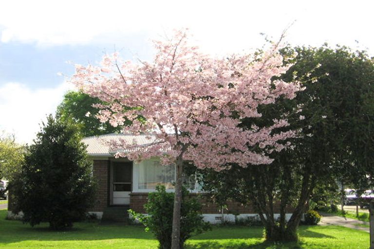 Photo of property in 12 Queen Road, Bellevue, Tauranga, 3110