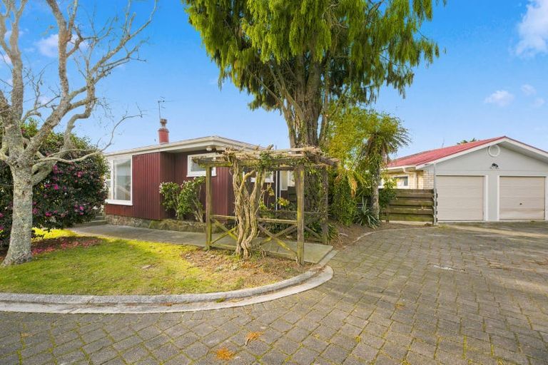 Photo of property in 161a Fraser Street, Tauranga South, Tauranga, 3112
