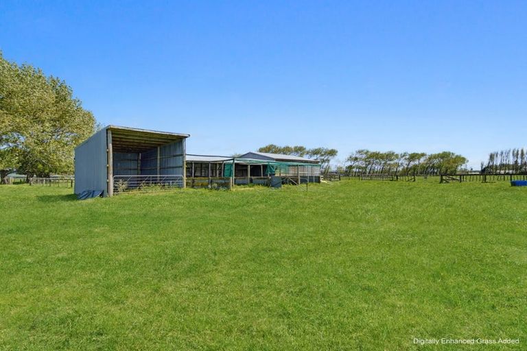 Photo of property in 138 Harris Road, Otaua, Waiuku, 2682