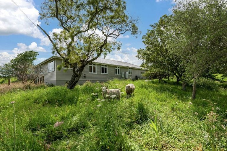 Photo of property in 731 Clevedon Kawakawa Road, Clevedon, Papakura, 2585