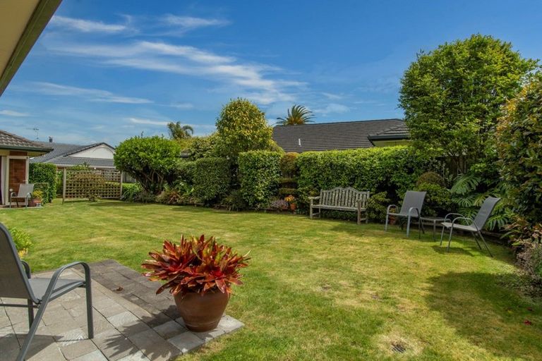 Photo of property in 81 Bethlehem Heights, Bethlehem, Tauranga, 3110
