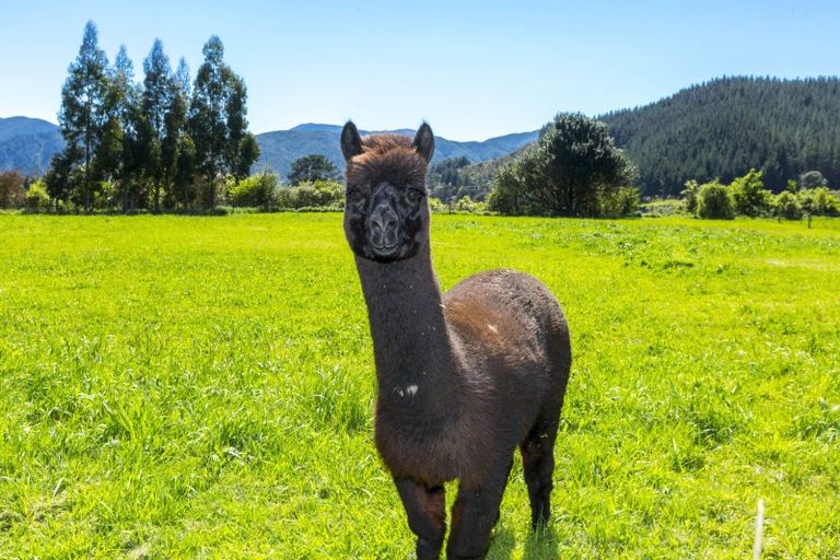 Photo of property in 80b Gilbert Road, Kaitoke, Upper Hutt, 5018