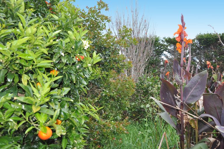 Photo of property in 512 Mangawhai Road, Wellsford, 0975