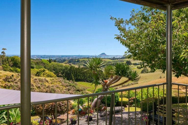 Photo of property in 457 Ohauiti Road, Ohauiti, Tauranga, 3112