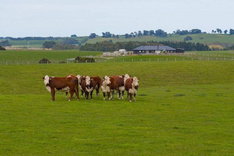 Photo of property in 234 Sandon Road, Feilding, 4779