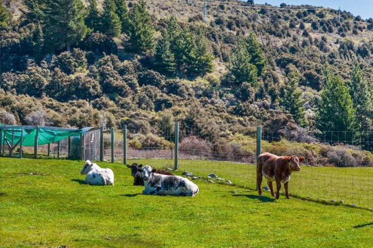 Photo of property in 78 Nursery Road, Queensberry, Cromwell, 9383