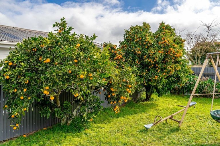 Photo of property in 17 Sackville Street, Martinborough, 5711