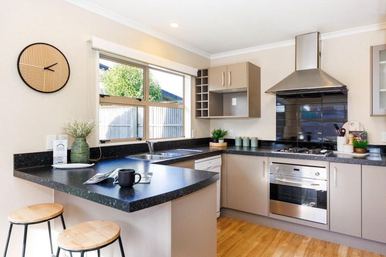 Photo of property in 36c Fitzroy Street, Terrace End, Palmerston North, 4410