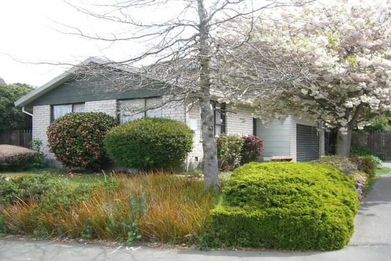 Photo of property in 24 Millstream Drive, Lincoln, 7608