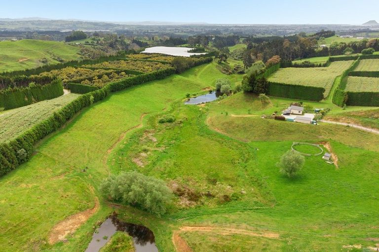 Photo of property in 90 Hereford Road, Oropi, Tauranga, 3173
