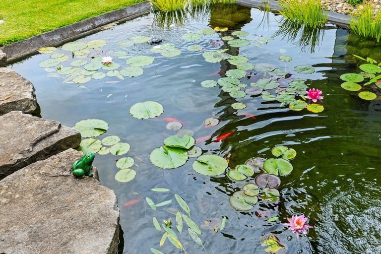 Photo of property in 19 Orange Lane, Bethlehem, Tauranga, 3110