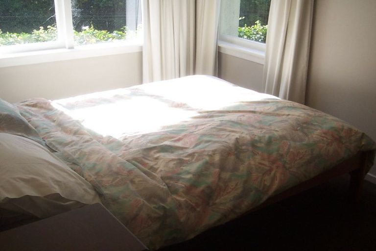 Photo of property in 38 Alva Street, Dunedin Central, Dunedin, 9016