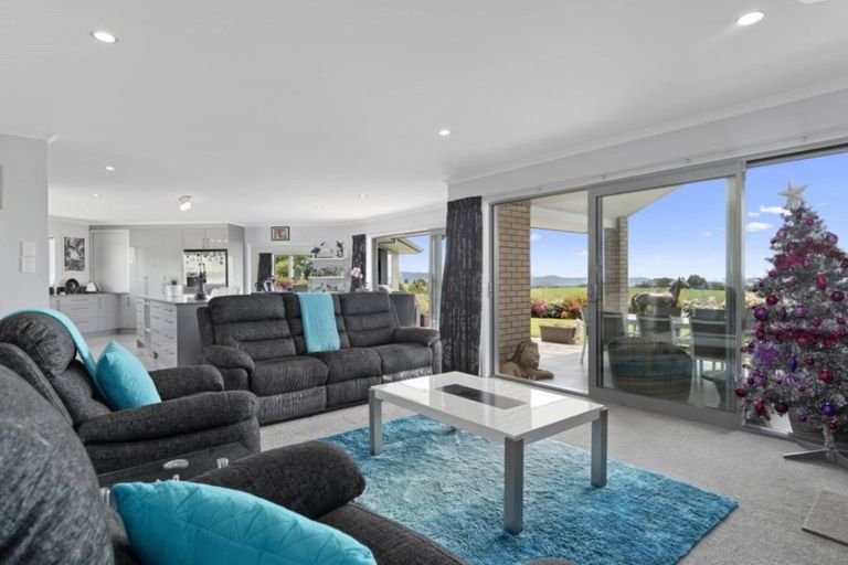 Photo of property in 515 Youngson Road, Whakamarama, Tauranga, 3179