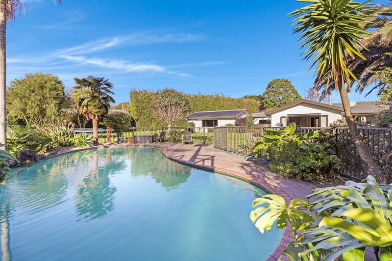 Photo of property in 854 No 1 Road, Te Puke, 3182