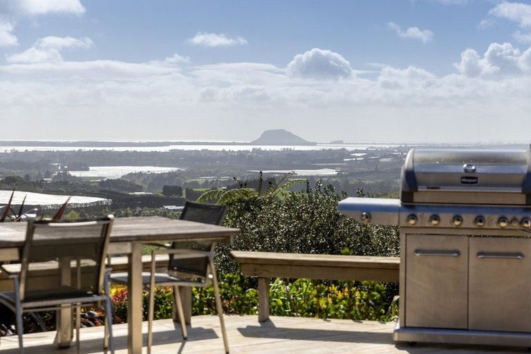 Photo of property in 252 Whakamarama Road, Whakamarama, Tauranga, 3179