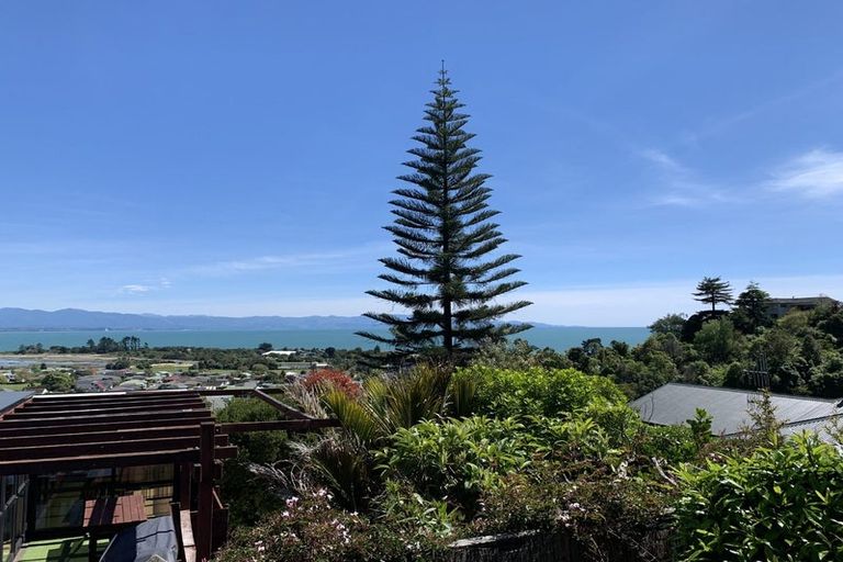 Photo of property in 67 Tosswill Road, Tahunanui, Nelson, 7011