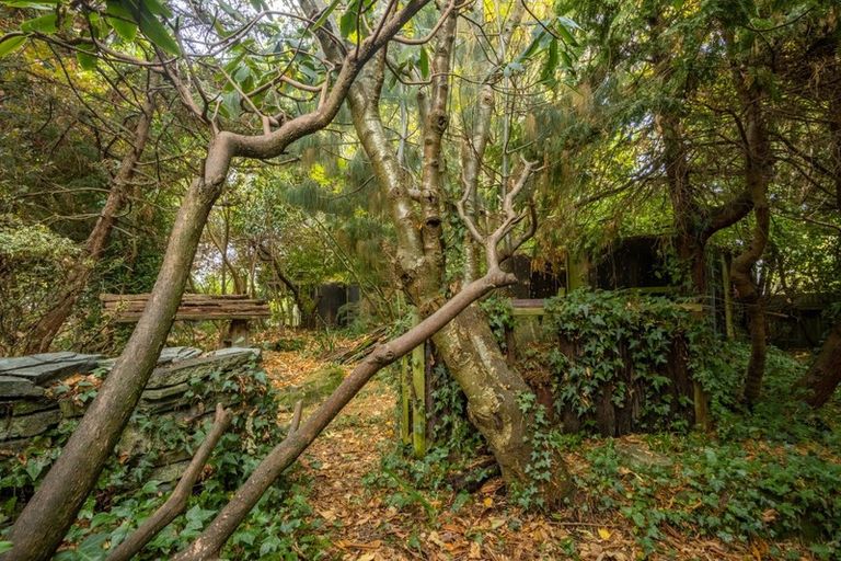 Photo of property in 62 Morton Street, Georgetown, Invercargill, 9812