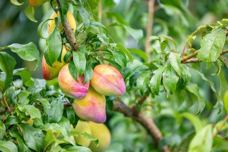 Photo of property in 1b Tomin Road, Glenview, Hamilton, 3206