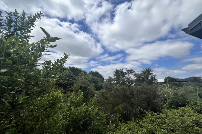 Photo of property in 14 Petersburg Drive, Flagstaff, Hamilton, 3210