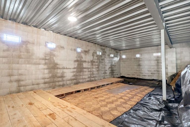 Photo of property in 22 Cobbe Place, Pomare, Rotorua, 3015