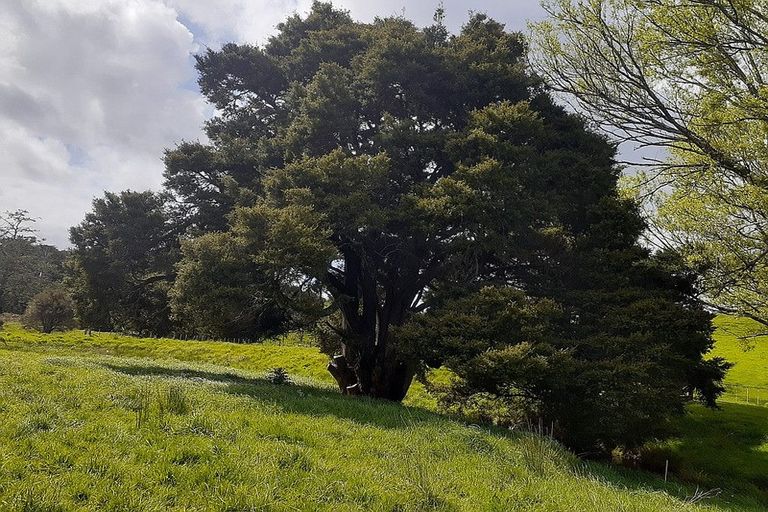 Photo of property in 171 Arcadia Road, Paparoa, 0571