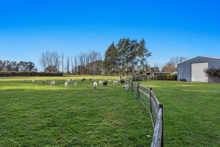 Photo of property in 19 Hogg Road, Rotoma, Whakatane, 3192