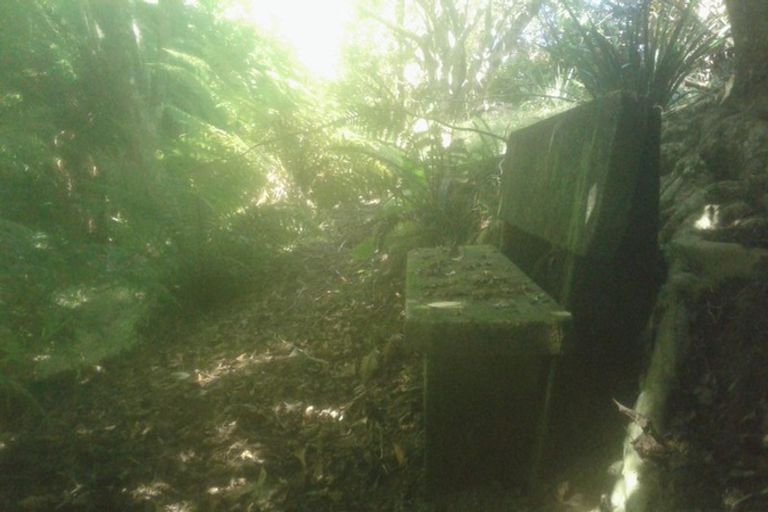 Photo of property in 116 Tauwharenikau Road, Tututawa, Stratford, 4392