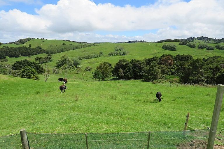 Photo of property in 134 Heatley Road, Whakapirau, Maungaturoto, 0583