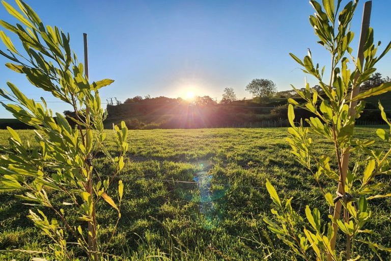 Photo of property in 369 Tarata Road, Norfolk, 4387