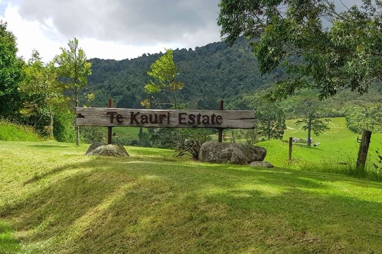 Photo of property in 17a Tye Road, Tahawai, Katikati, 3178