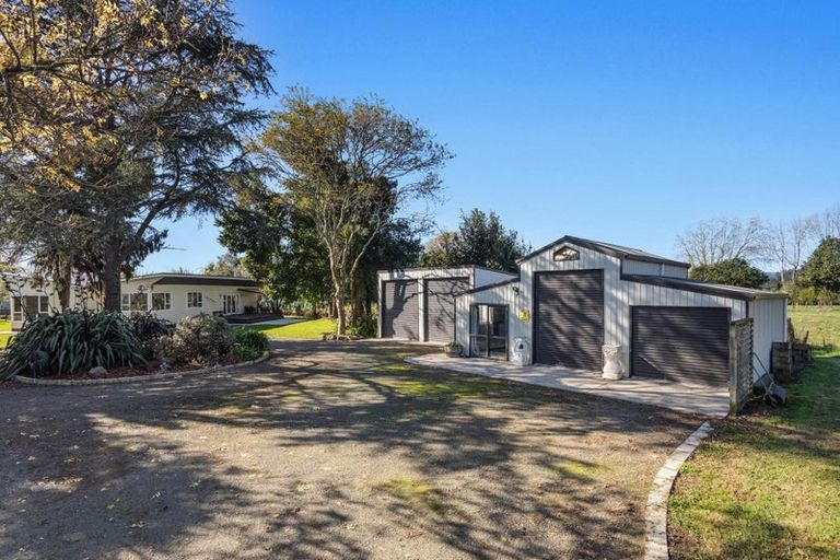 Photo of property in 95 White Pine Bush Road, Awakeri, Whakatane, 3192