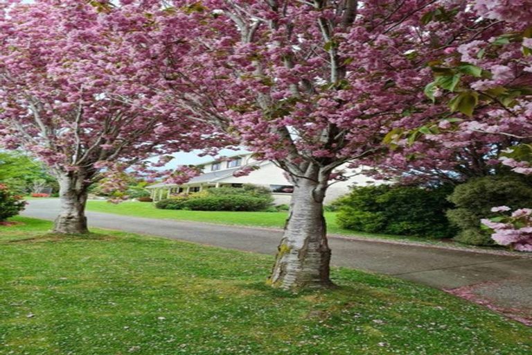 Photo of property in 412 Lorne Dacre Road, Roslyn Bush, Invercargill, 9876