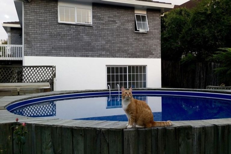 Photo of property in 57 Moncur Drive, Springfield, Rotorua, 3015