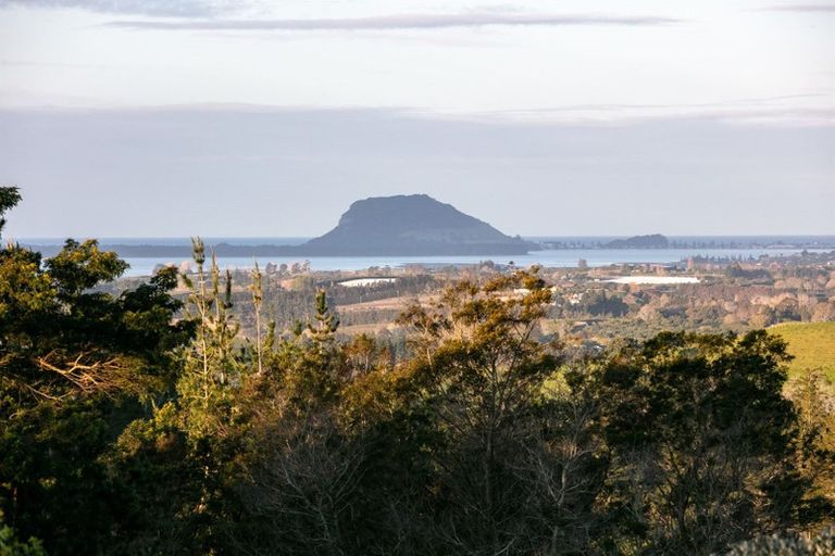 Photo of property in 257f Whakamarama Road, Whakamarama, Tauranga, 3179