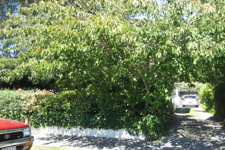 Photo of property in 50 Cornwall Street, St Albans, Christchurch, 8014