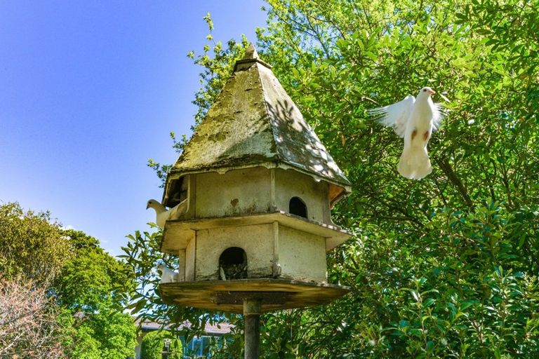 Photo of property in 95 Valentine Road, Bridge Pa, Hastings, 4175