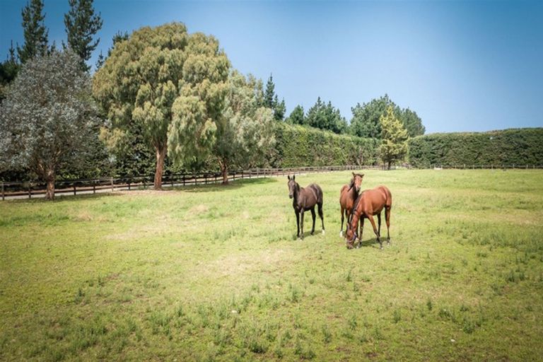 Photo of property in 496 Knyvetts Road, Southbridge, Leeston, 7682