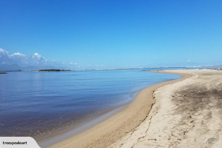 Photo of property in 242 Arapito Road, Karamea, 7893