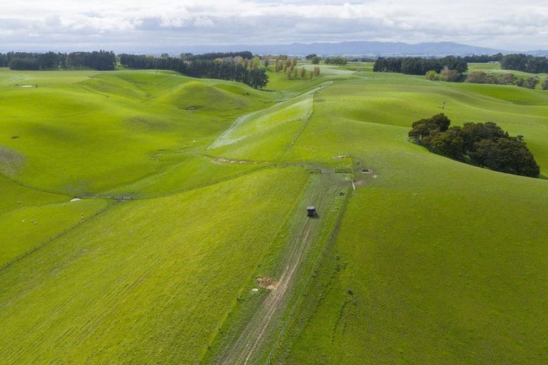 Photo of property in 234 Sandon Road, Feilding, 4779
