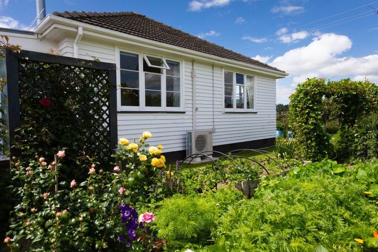 Photo of property in 21 Hall Street, Woodville, 4920